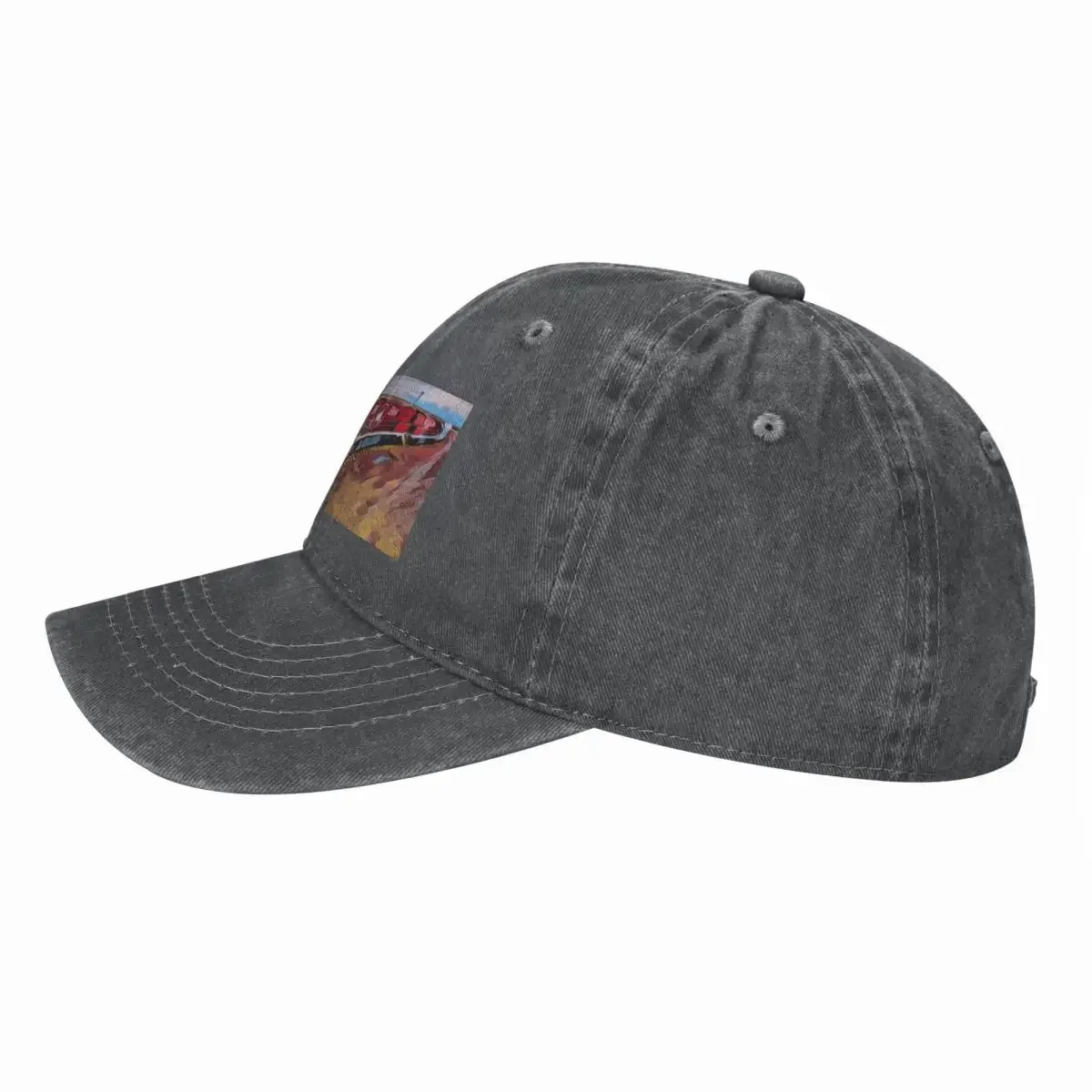 Casquette de baseball The Ghan - Streetwear Brand In Australia avis et prix